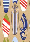 V28257; V28264; V28271 - Surf Boys Gift Bag - GBG231.100/48 10/PK